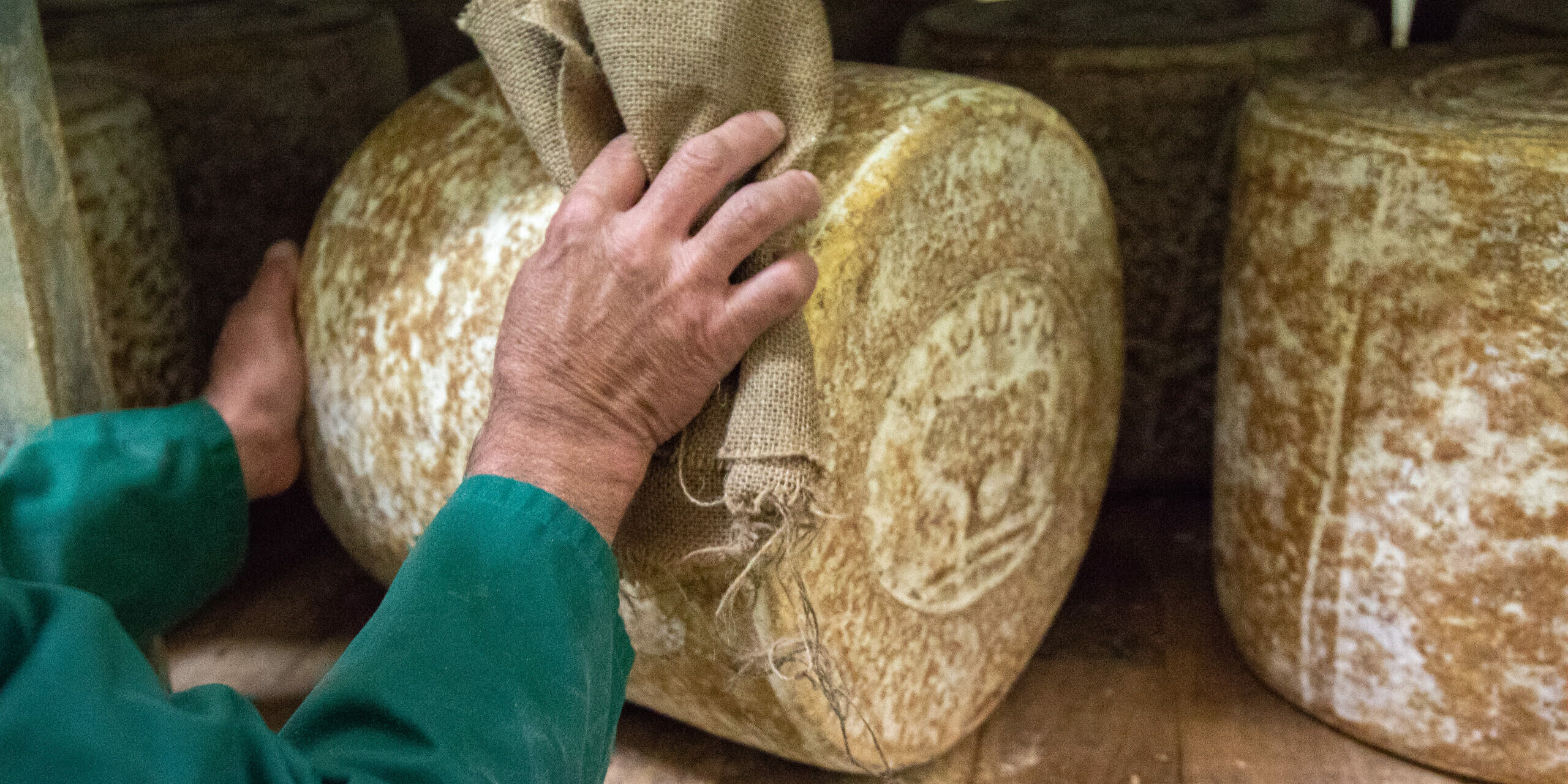 Jeune Montagne_Affinage Fromage Laguiole AOP_Photo Pierre Soissons